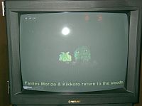 NHK�s�D����@�ճ���