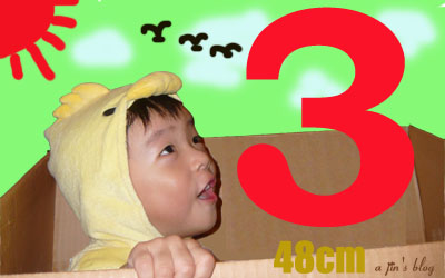 48cm JinTySObanner
