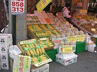 仲有"塞"米同蜜瓜