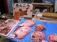 @pat pat劏}鮟鱇