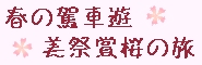 ܹC饻-大