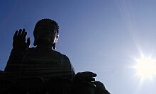 2003~421