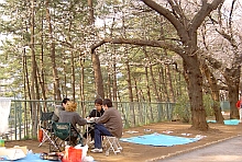 ϤѡG촼lpj